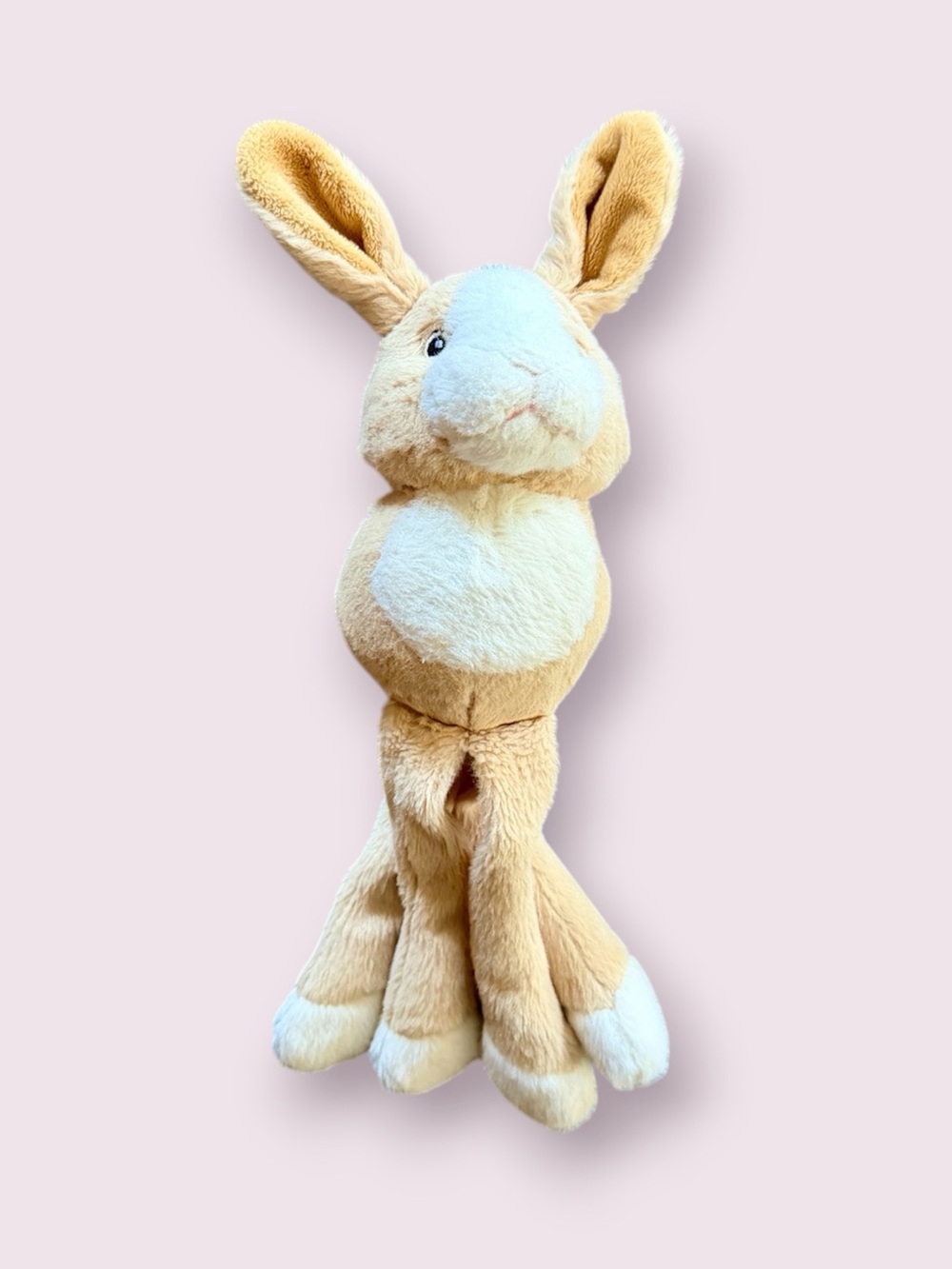 Bunny Squeaky Ball Toy